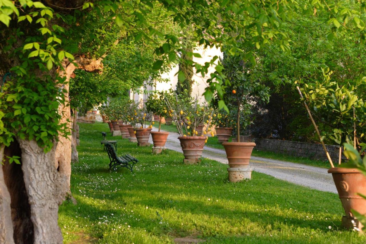 Primula Apartman Poggibonsi Kültér fotó